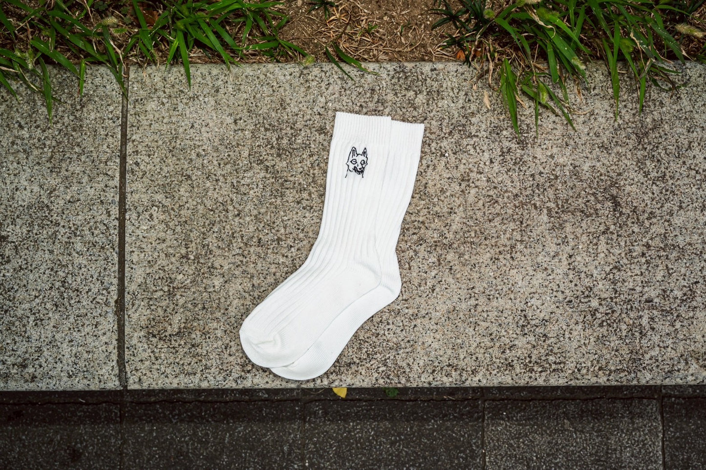 ウルフニキヲツケロ ソックス まさみデザイン